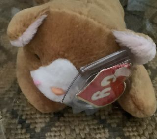 Authenticated Nip 2nd Generation/1st Tush Ty Beanie Baby Rare Magenta Whiskers