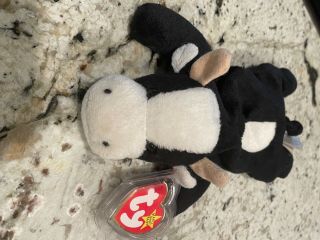 Ty Beanie Baby - Rare With 14 Errors And Tush Tag - - Daisy The Cow