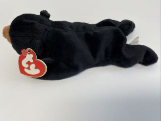Ty Beanie Babies “blackie” The Bear 3rd/1st Gen Authentic -