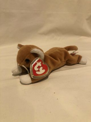 Nip Brown Cat 3rd Gen Hang Tag Beanie Babies With Case