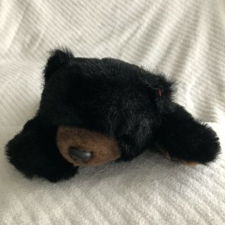 Ty 1996 Large Plush Black Bear Paws No Tag Beanie Buddy Retired Euc 20in
