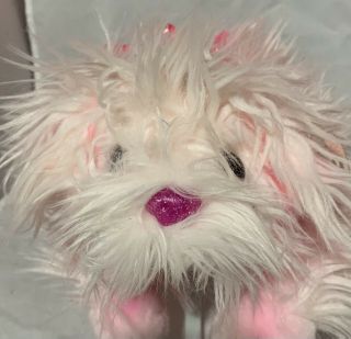 Lil Gloss Pink Furry Dog Pup Ty Pinkys 15” Plush Beanie Buddy Stuffed Animal Toy
