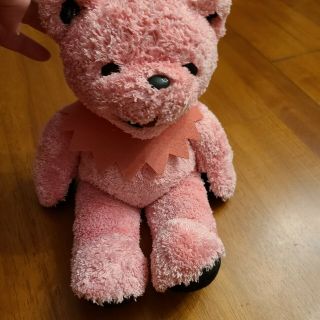 Grateful Dead 12” Teddy Bear Melody Pink Bear (surface Dirt) Plush Stuffed Anima