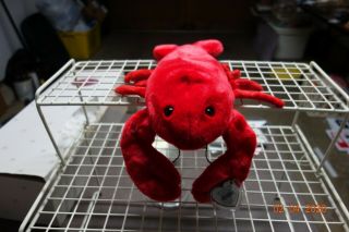Ty Retired Beanie Buddy " Pinchers " The Lobster With Tags