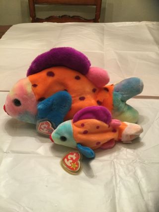 Ty Lips The Fish Beanie Baby (errors) And Beanie Buddy Set,  Mwmt Rare Rainbow