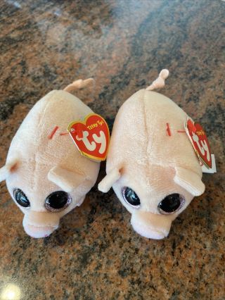 Two Ty Beanie Boos Teeny Tys 4 " Curly Pig Stackable Plush Stuffed Animal Toy