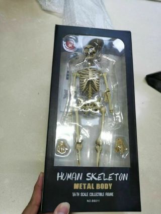 1/6 Coomodel Coo Action Figure - The Human Skeleton Diecast Alloy Bs011