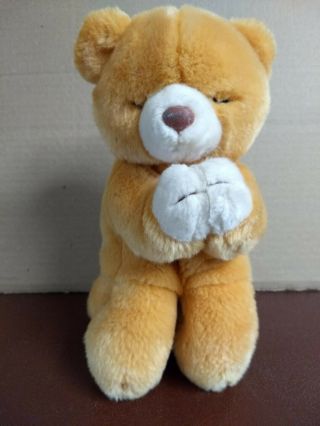 Ty Beanie Buddy Stuffed Plush Bear " Hope "