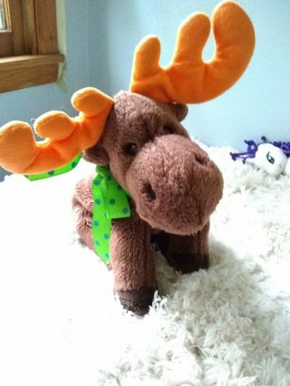 Ty Beanie Buddy Soft Chocolate The Brown Moose 9 " Plush Stuffed Animal 1999