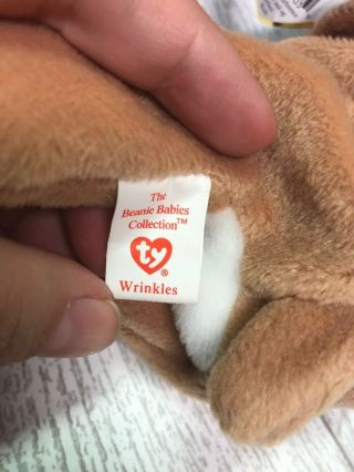Wrinkles Dog Bulldog 4th/3rd Gen ' 96 Retired Ty Beanie Baby Collectible PVC 4103 3