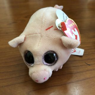 Ty Beanie Boos Teeny Tys 4 " Curly Pig Stackable Plush Stuffed Animal Toy Mwmts