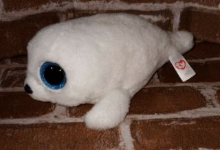 Ty Beanie Boo Icy The White Seal (small Size) Glittery Blue Eyes 2015 No Tag A1a