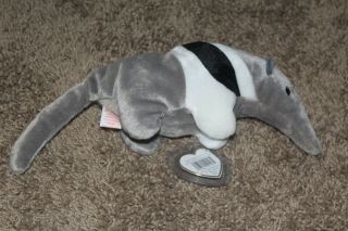 TY Beanie Baby Ants - ANTEATER/AARDVARK - RARE RETIRED 1998 NWT with tags 2