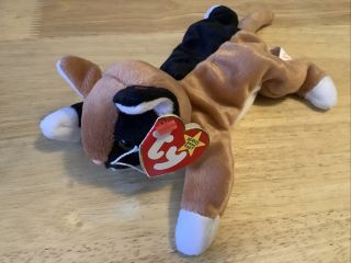 Ty Beanie Baby Chip The Cat January 26,  1996 With Tags