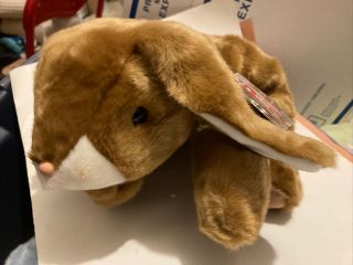 Ty 2000 Ears The Rabbit Large Beanie Baby Buddy W/ Tags Brown Bunny 14 Inch