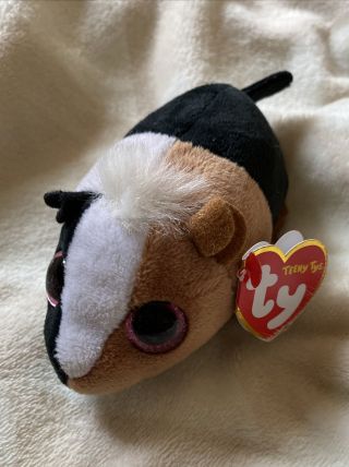 Ty Teeny Tys Theo The Guinea Pig 4 " With Tags Cute Kawaii Animal Plush