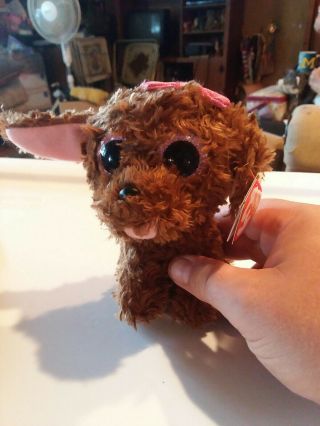 Ty Beanie Babies Boos Maddie Curly Haired Brown Puppy Dog 8 " Glitter Eyes Plush