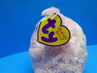 Ty Beanie Ballz BEANS the Pig Plush Toy Hang Tag Regular Size 2011 Retired Toy 2