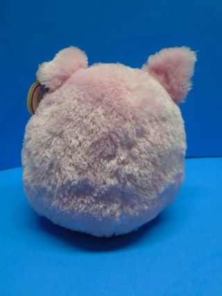 Ty Beanie Ballz BEANS the Pig Plush Toy Hang Tag Regular Size 2011 Retired Toy 3