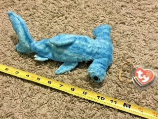 Ty Beanie Babies,  2002,  Sledge,  Blue Hammerhead Shark,  Colorful Tummy