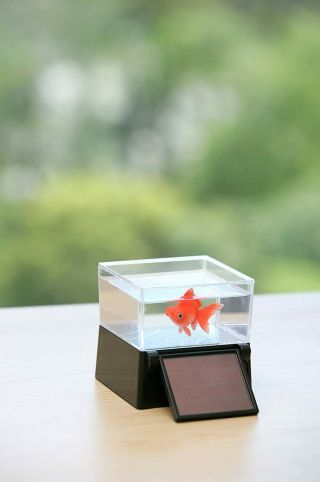 Aqua Solar Karakuri Kingyo Pop - Eyed Goldfish Takara Tomy Arts　 2