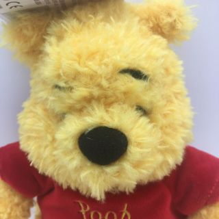 Authentic Disney Parks Winnie The Pooh Plush Collectible 10” With Hang Tag