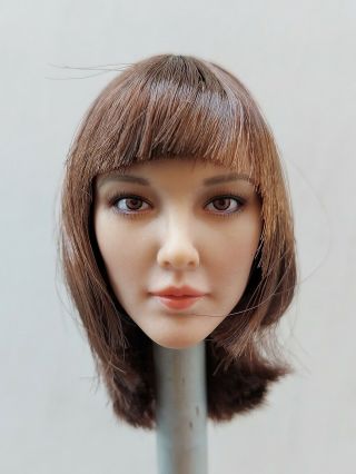 Cat Toys Ct008a 1/6 Female Head Sculpt Brown Hair For 12  Figure Doll