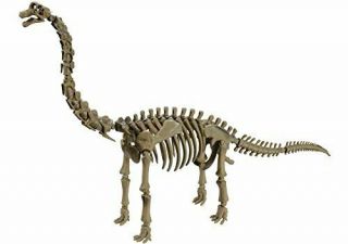Re - Ment Pose Skeleton Dinosaur Series 104 Brachiosaurus 43177 - 61017