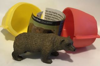 Yowie Collectible Toy Brown Bear With Paper & Plastic Container