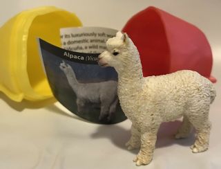 Yowie Collectible Toy Alpaca With Paper & Plastic Container