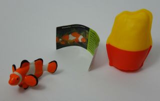 Clownfish Fish Yowie Collectible Toy With Papers And Container