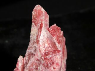 A Big 100 Natural Deep Red Rhodonite Cluster From Brazil 264gr