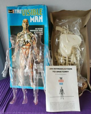Vintage The Visible Man Revell Dimensional Model Kit Human Body H - 900 C.  1977