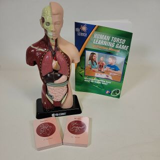 Edu - Science Human Torso Learning Game Kit For Exploring The Human Body