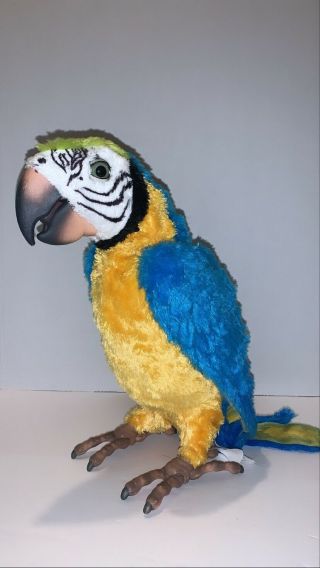 Hasbro Furreal Friends Squawkers Mccaw Talking & Moving Parrot
