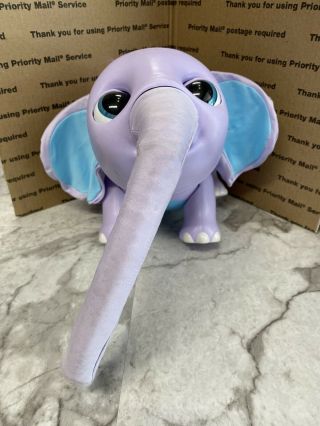 Spin Master 6047248 Juno My Baby Elephant With Interactive Moving Trunk