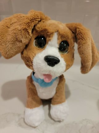 Furreal Chatty Charlie The Barkin’ Beagle Interactive Pet Dog - Cute