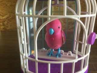 Little Live Pets Interactive Bird And Cage