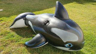 Inflatable 2007 Intex Whale " Ugly Shamu " Pool Toy Repaired And Sun - Stretched