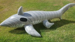 Inflatable Water Gear Shark Ride On Pool Toy Rescued And Repaired From Popping