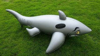 Inflatable 2015 Wehncke Silver Shark Ride on Pool Toy 2