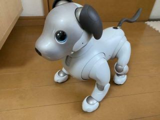 Sony Aibo Ers - 1000 Entertainment Robot Dog From Japan