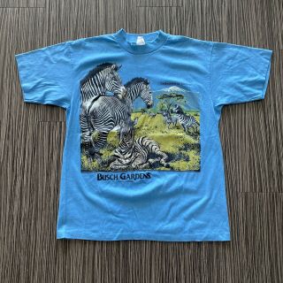 Vintage Single Stitch Busch Gardens Zebra Graphic T - Shirt Mens L Blue 1985
