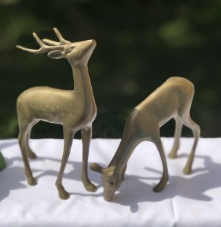 Vintage Solid Brass Set Buck & Doe Deer Made In Korea Figurines