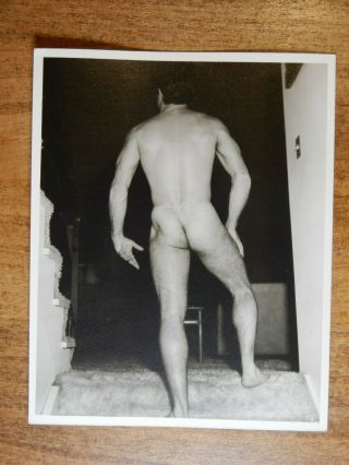 Vintage Male Nude Prints,  Back Poses,  Western Photography Guild,  4x5
