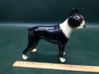 Vintage Mortens Studio Boston Terrier Dog Figurine 5 - 3/4 " Tall