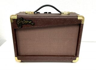 Vintage Esteban G - 10 Portable 12 Watt Guitar Amp/amplifier Electric/acoustic