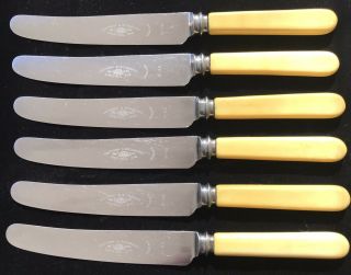 6 X Southern & Richardson Sheffield England Faux Bone Handled Vintage Knives Set