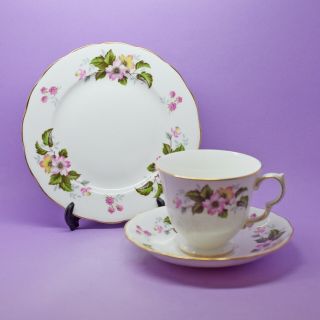 Queen Anne,  Floral Patt 8346,  Tea Trio,  Cup,  Saucer,  Plate,  Vintage,  England