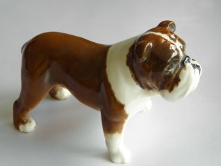 Lovely Vintage Beswick Tan & White Bosun Bulldog Model No 1731